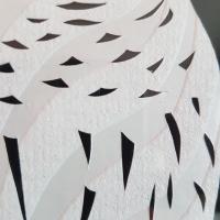 20201105 092036